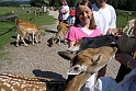 Skandinavisk Dyrepark Djursland